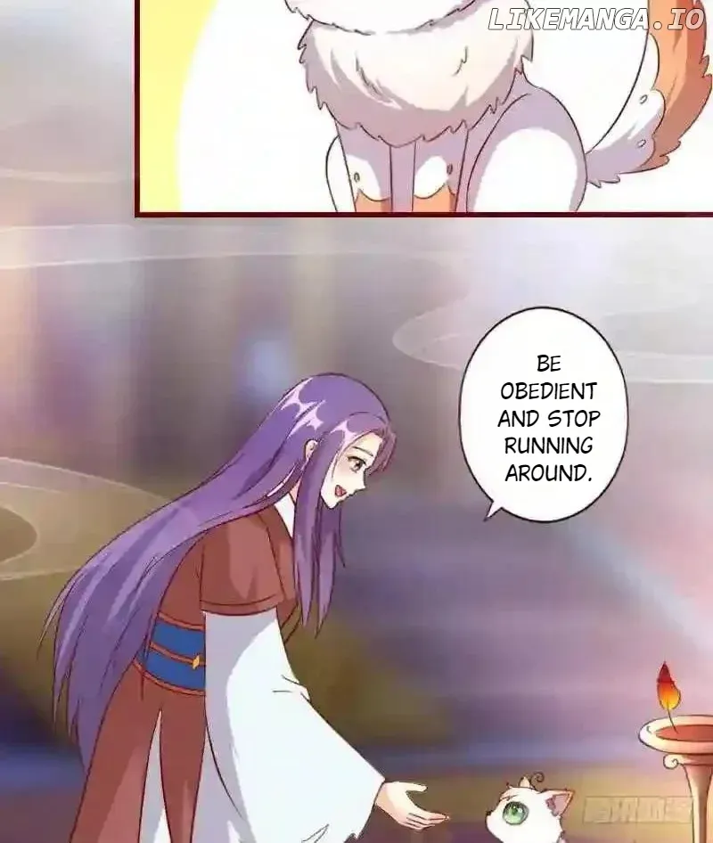 Image page 13