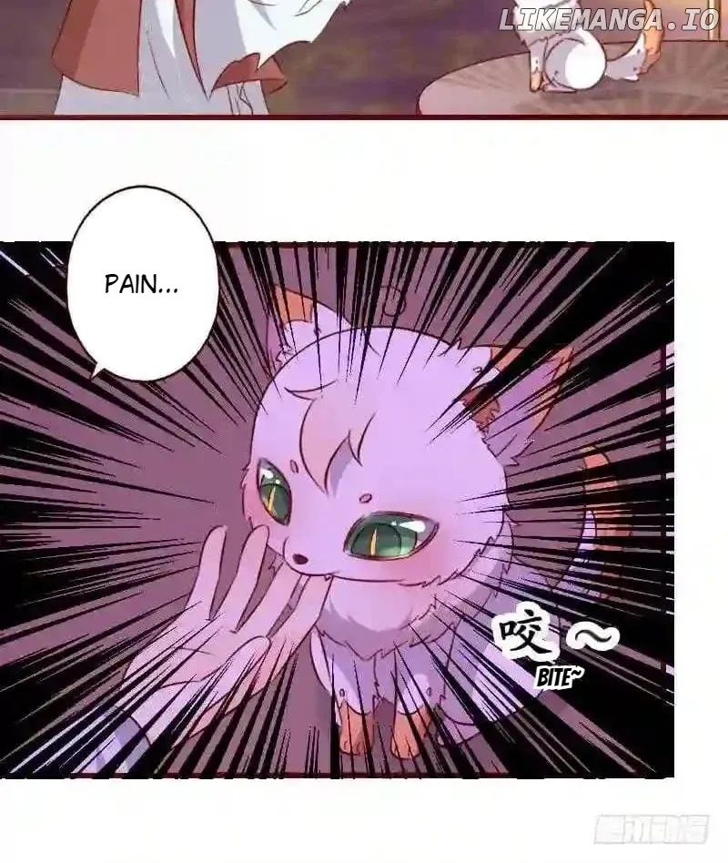 Image page 14