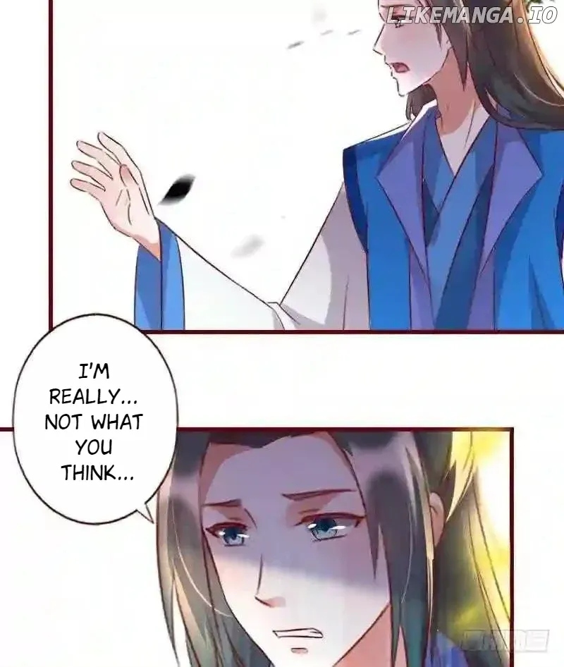 Image page 13