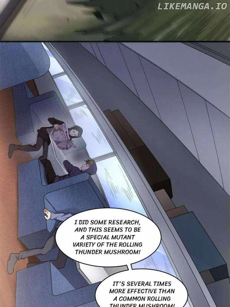 Image page 11