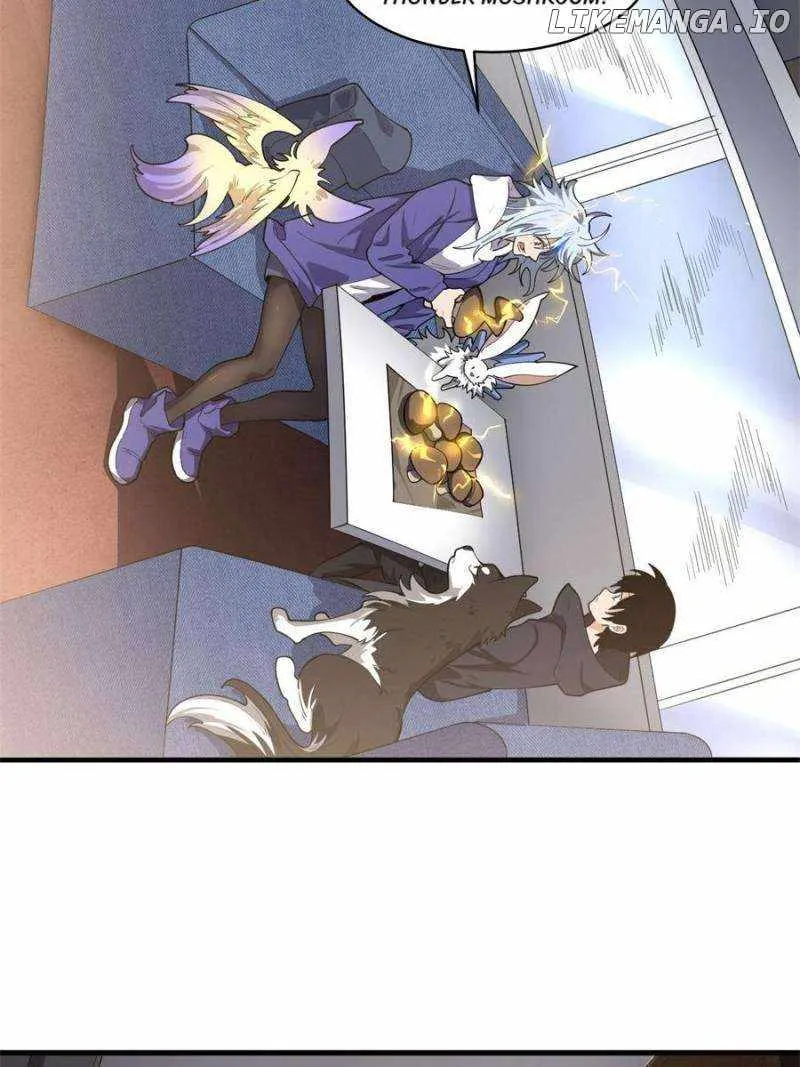 Image page 12