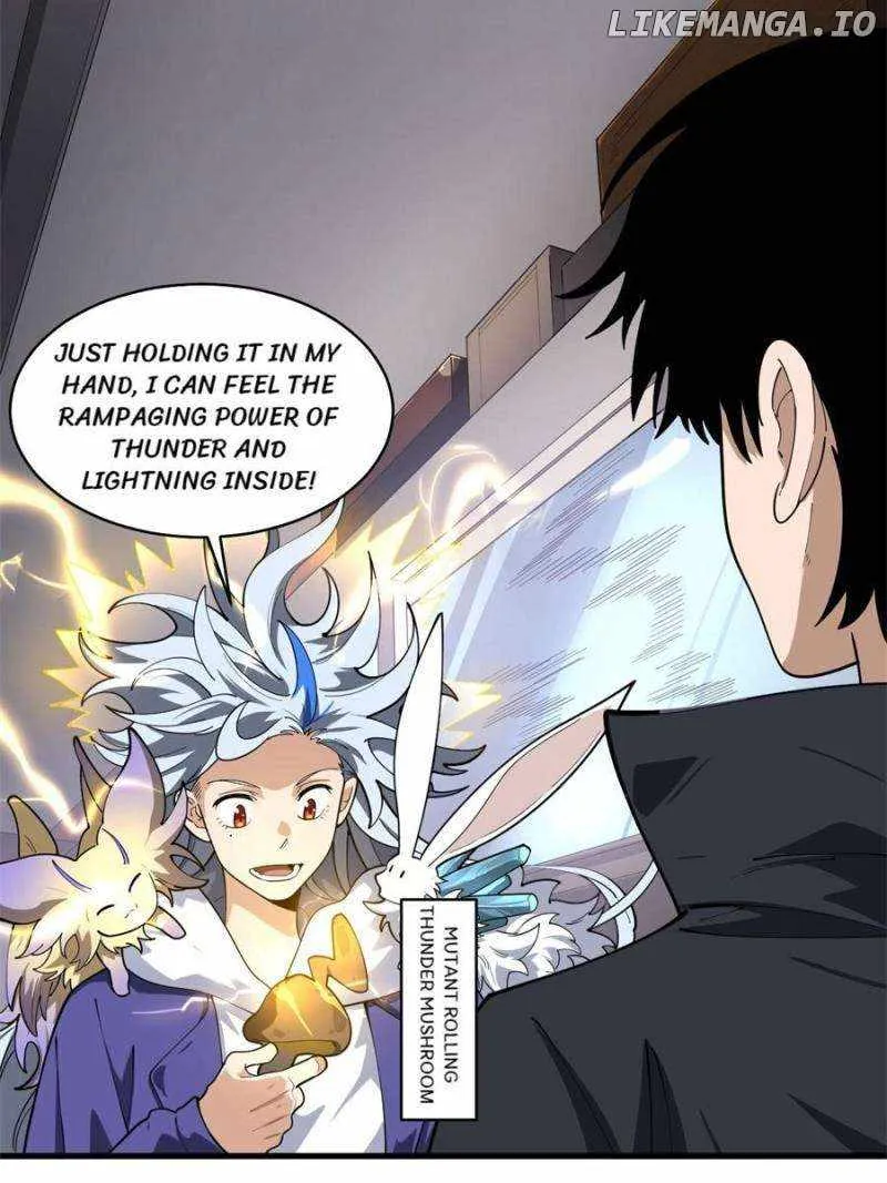 Image page 13