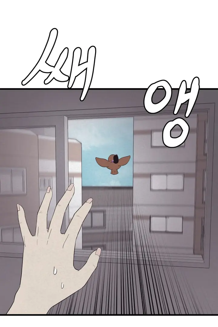 Image page 18