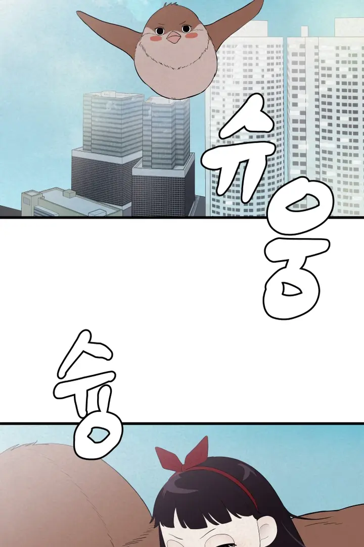 Image page 20