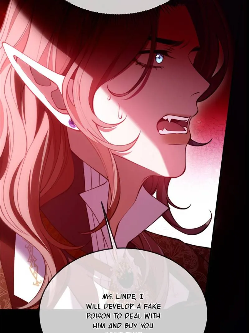 Image page 12