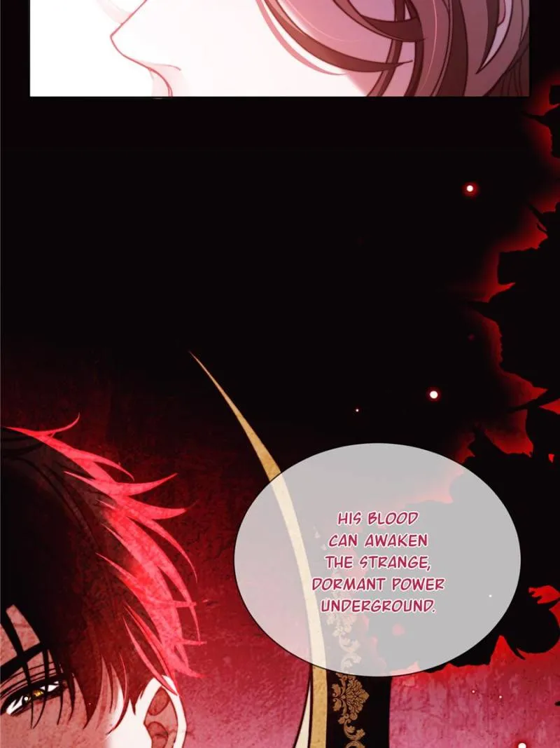 Image page 26