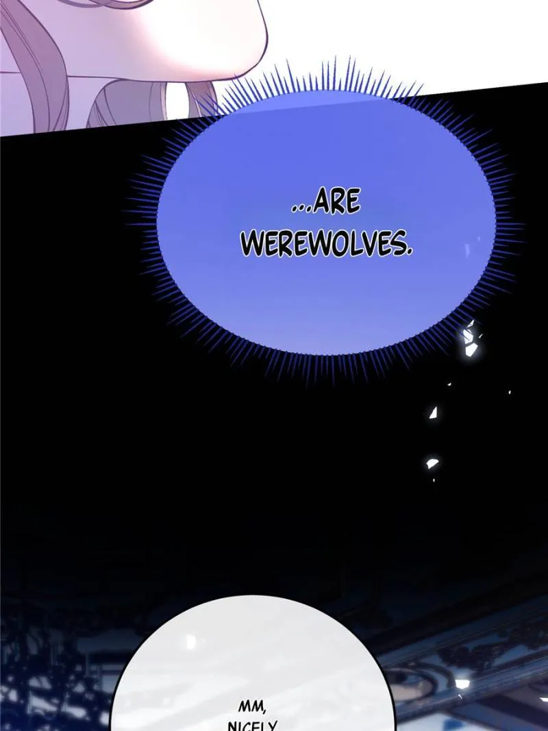 Image page 11