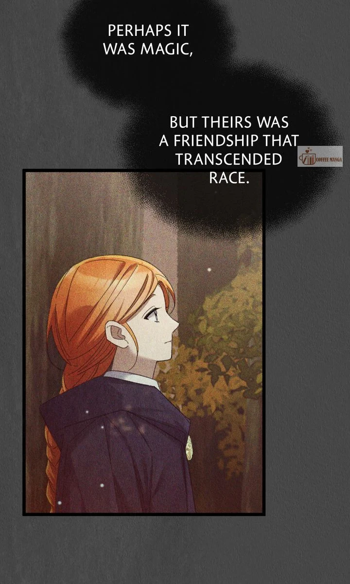 Image page 31