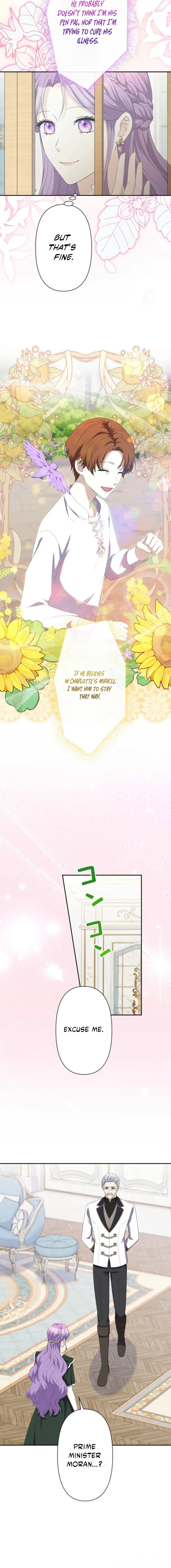 Image page 4