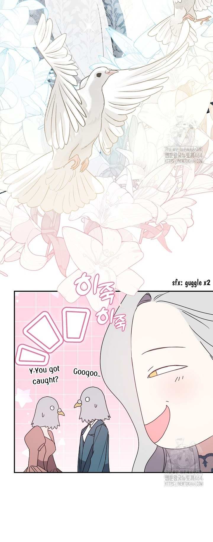Image page 9