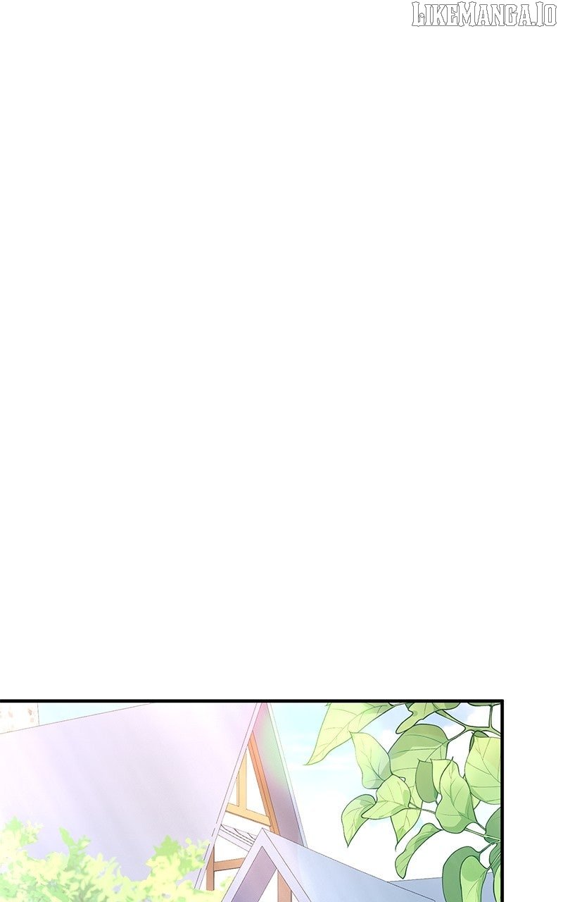 Image page 15