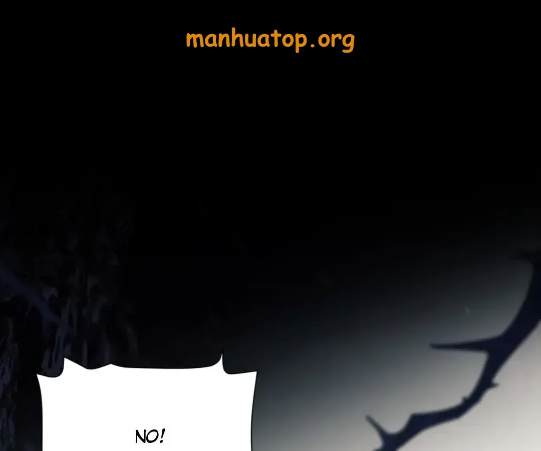 Image page 0