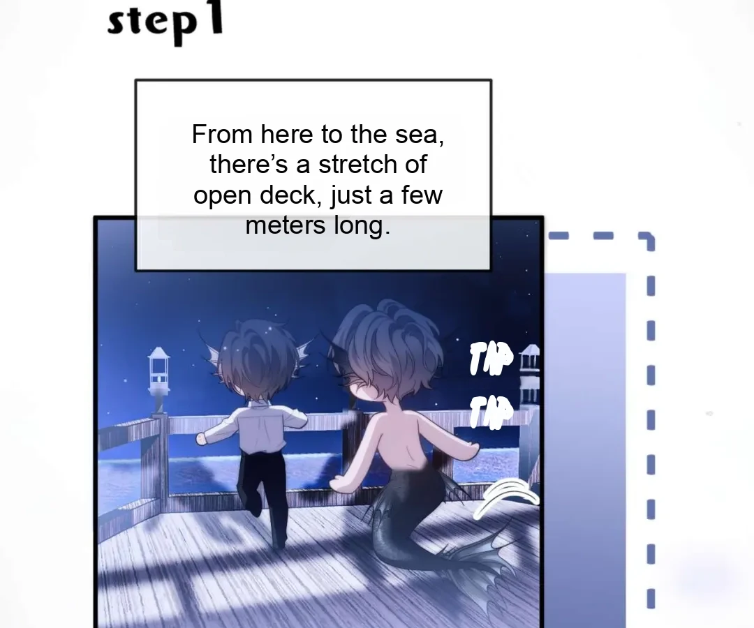 Image page 8