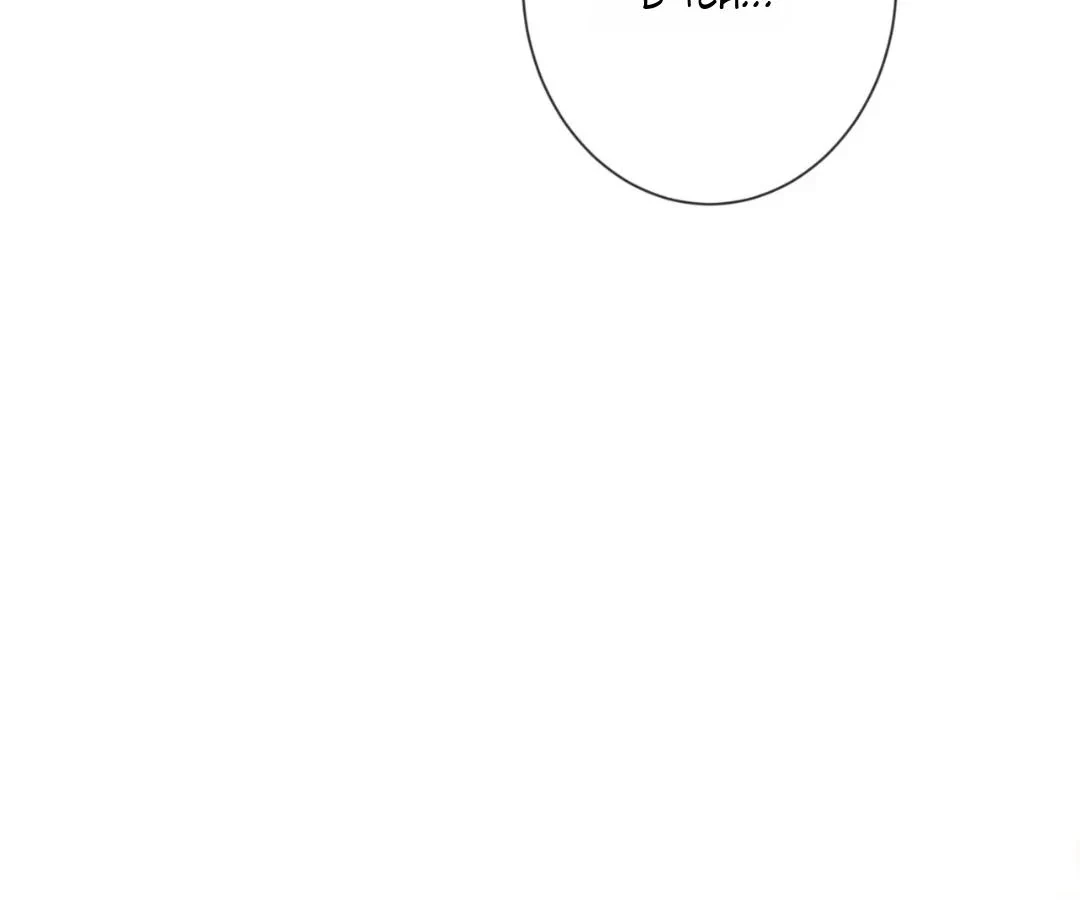 Image page 15