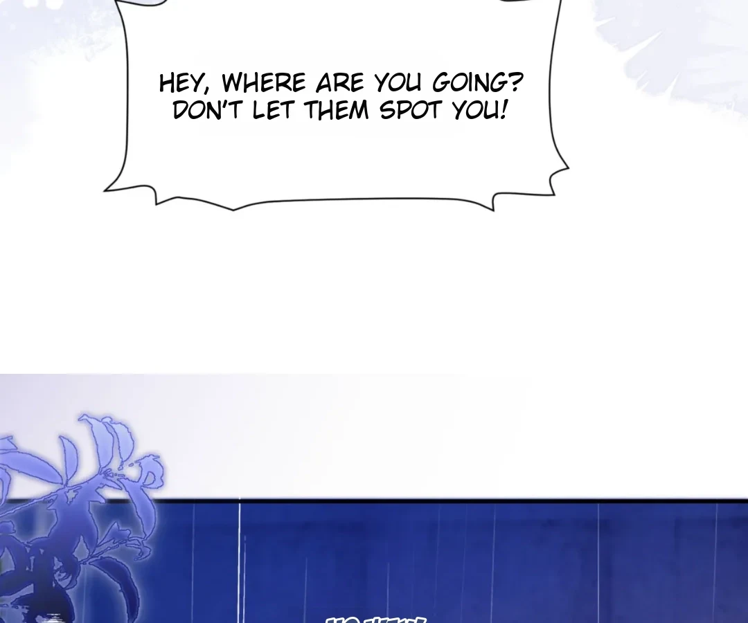 Image page 15