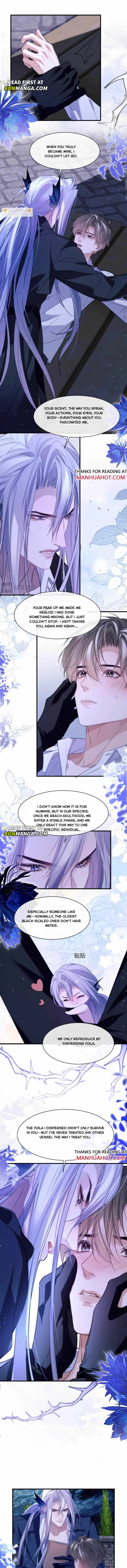 Image page 3