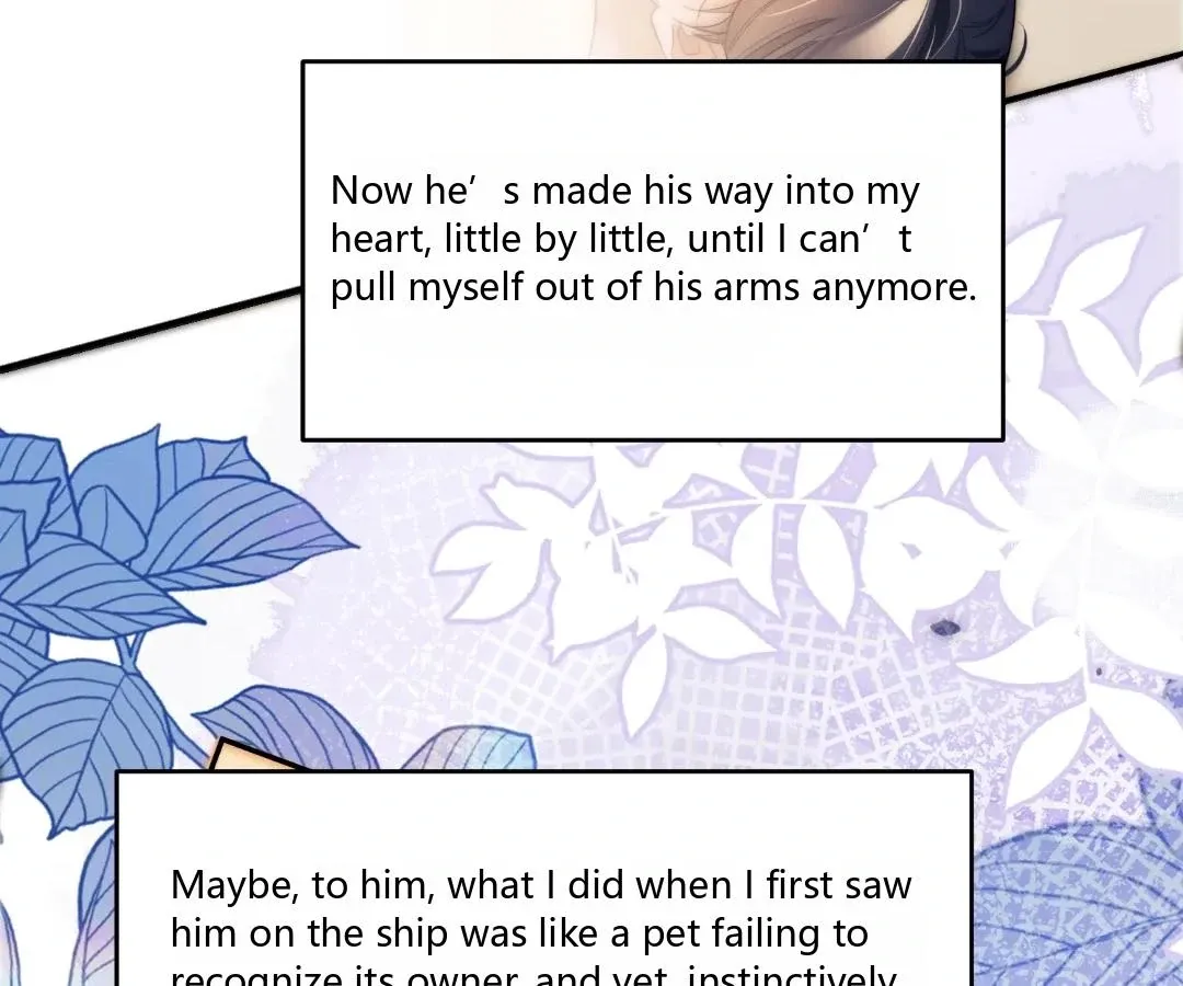 Image page 7