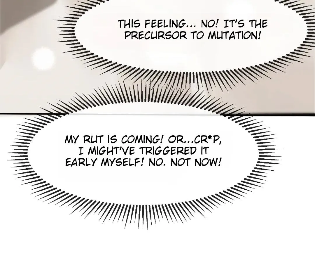 Image page 15
