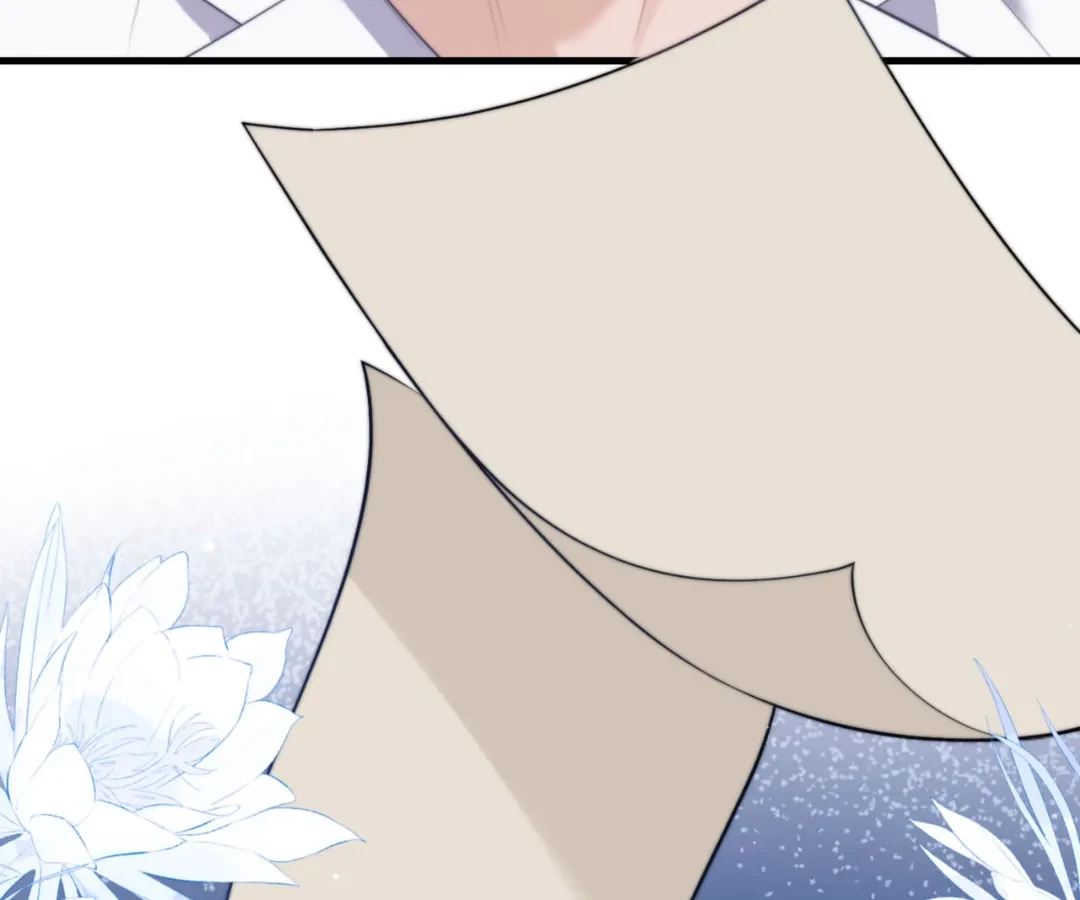 Image page 6