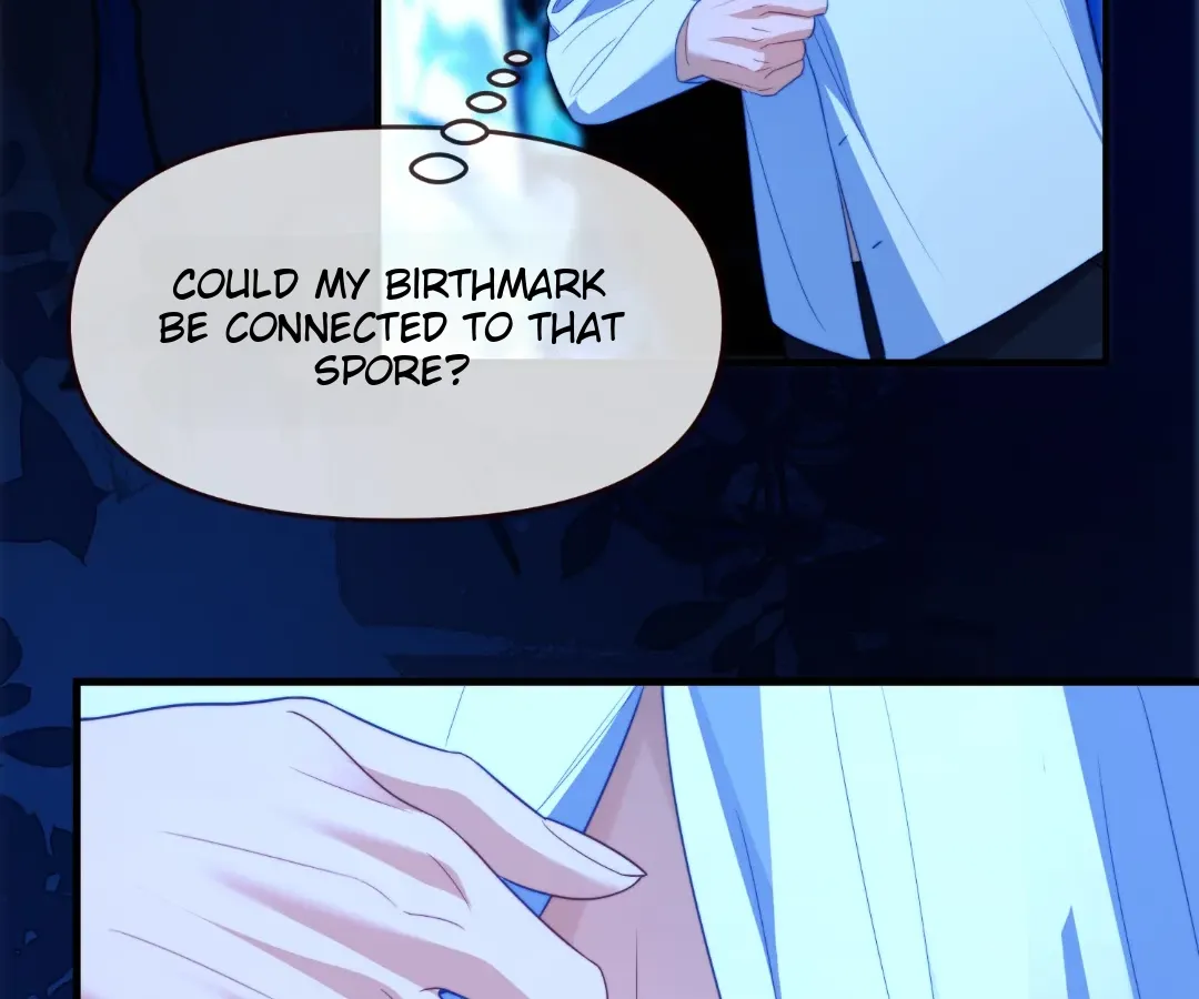 Image page 13