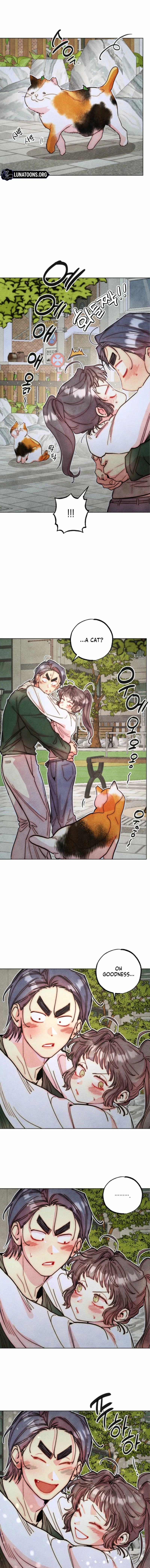 Image page 8
