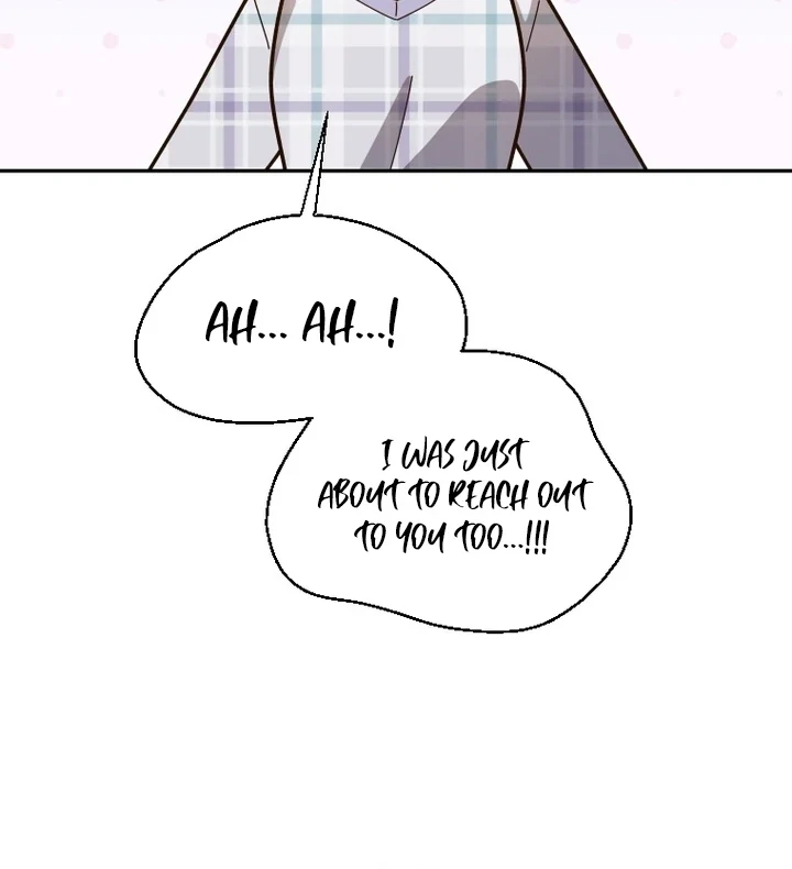 Image page 12