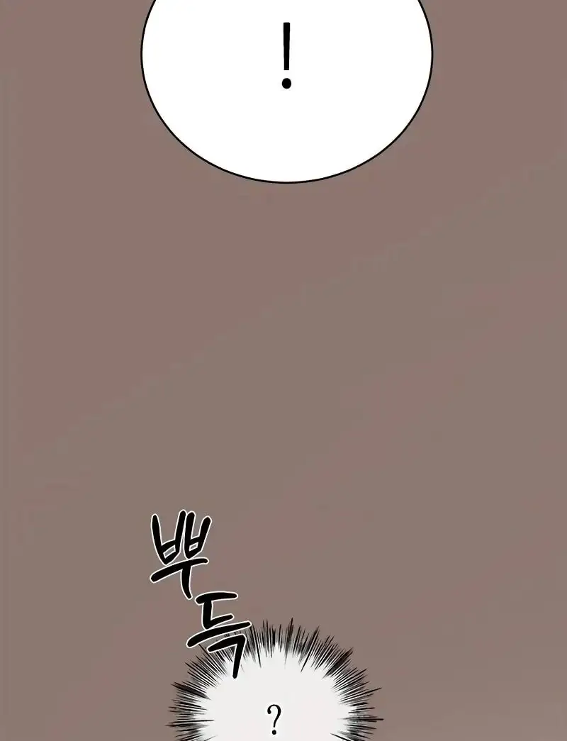 Image page 26