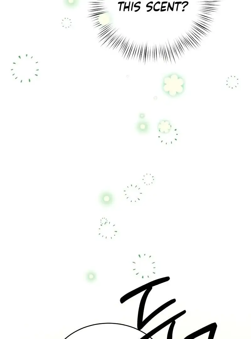 Image page 8