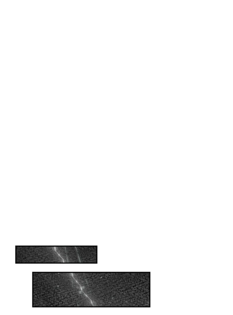 Image page 151