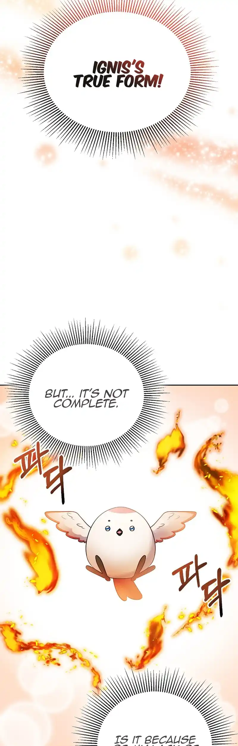 Image page 2