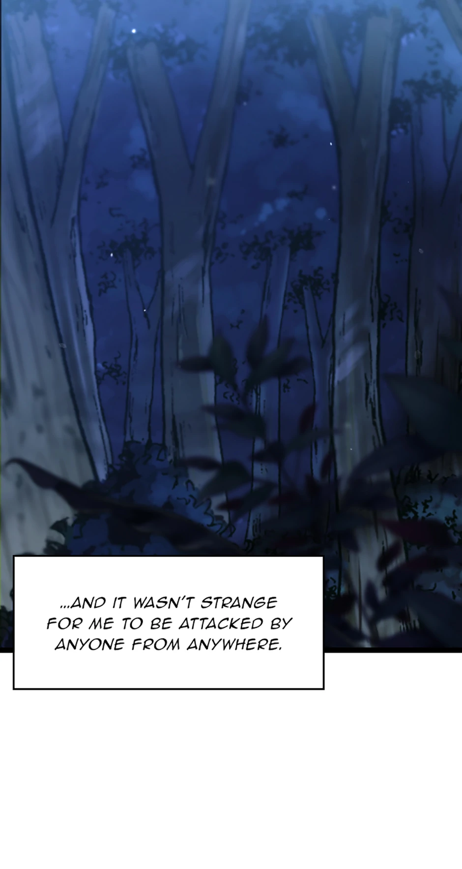 Image page 13