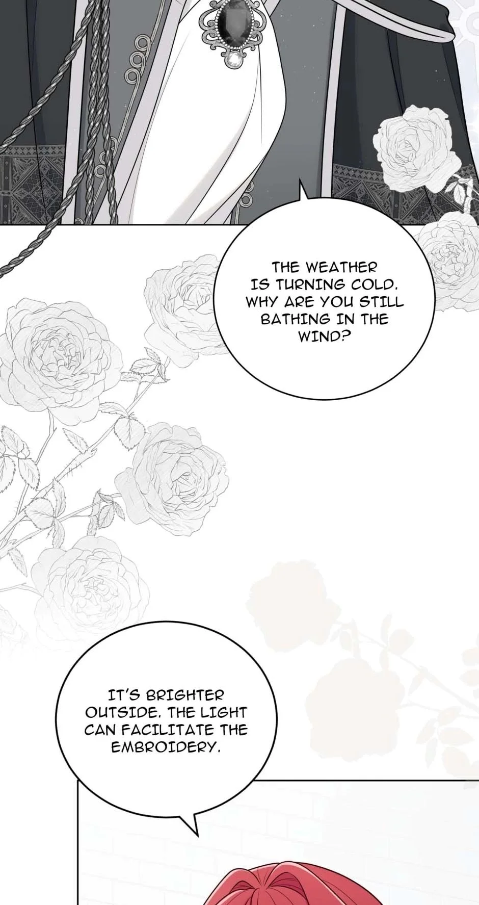 Image page 26
