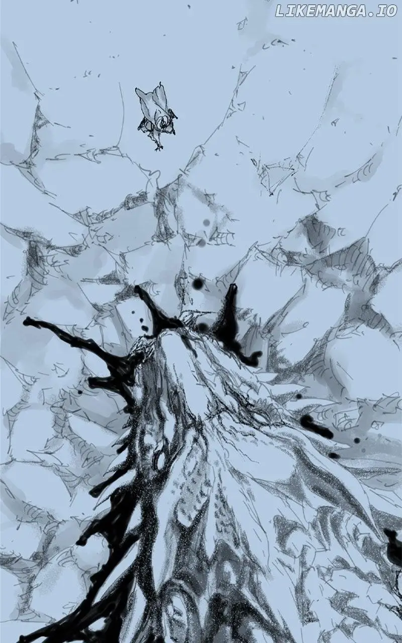 Image page 16