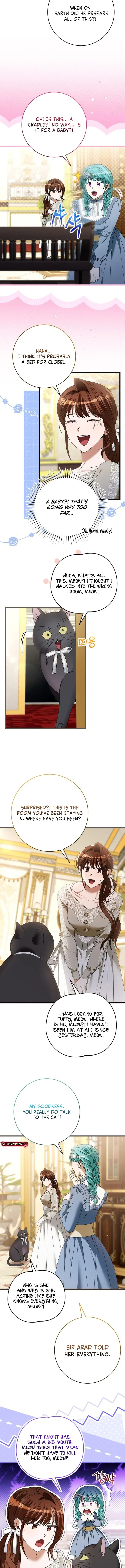 Image page 8
