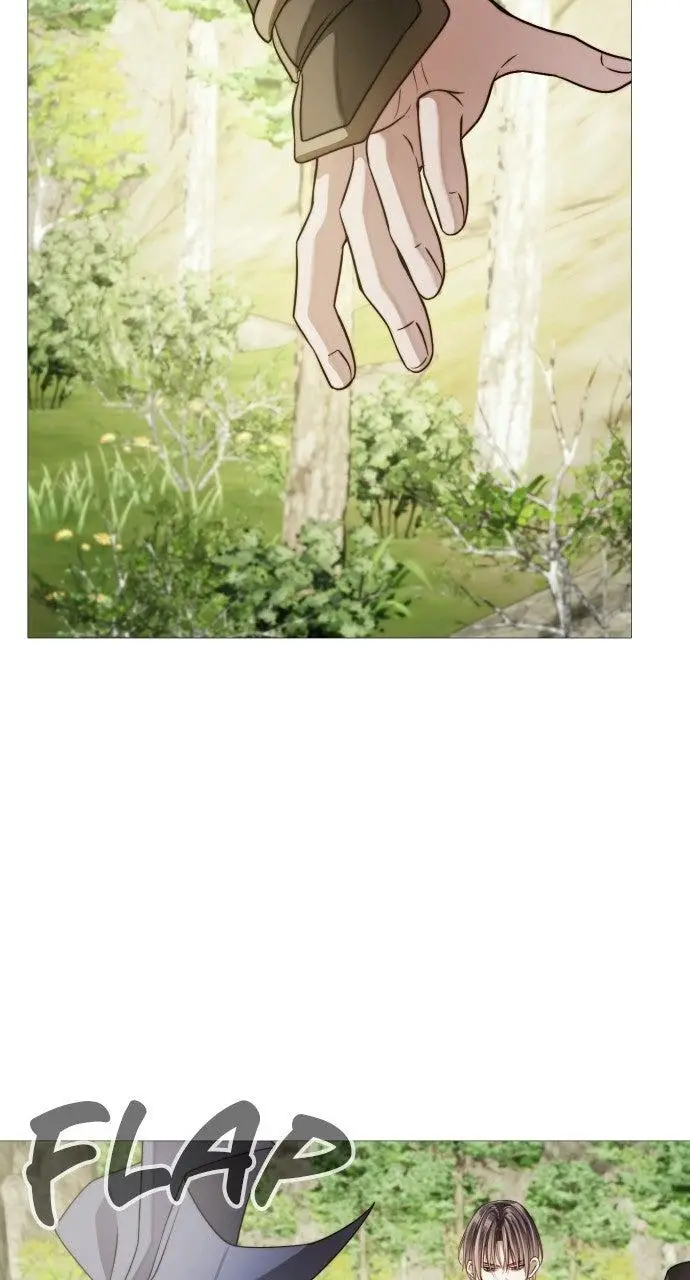 Image page 12