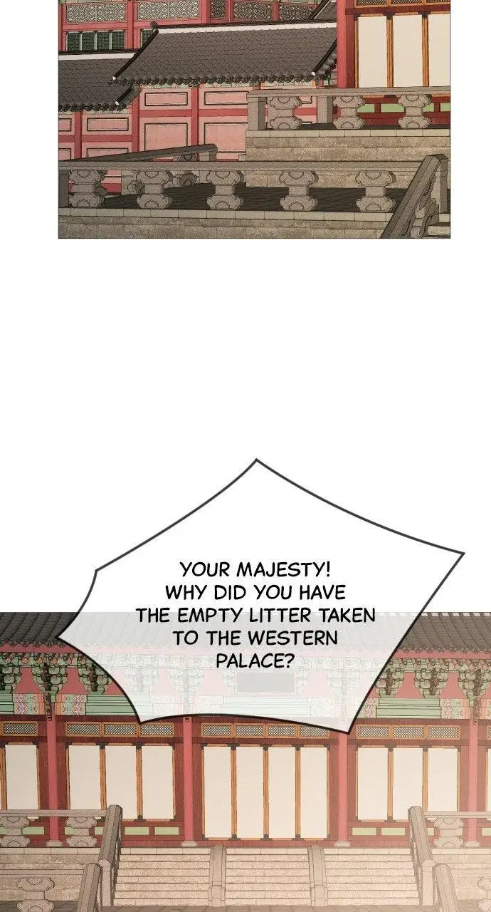 Image page 29