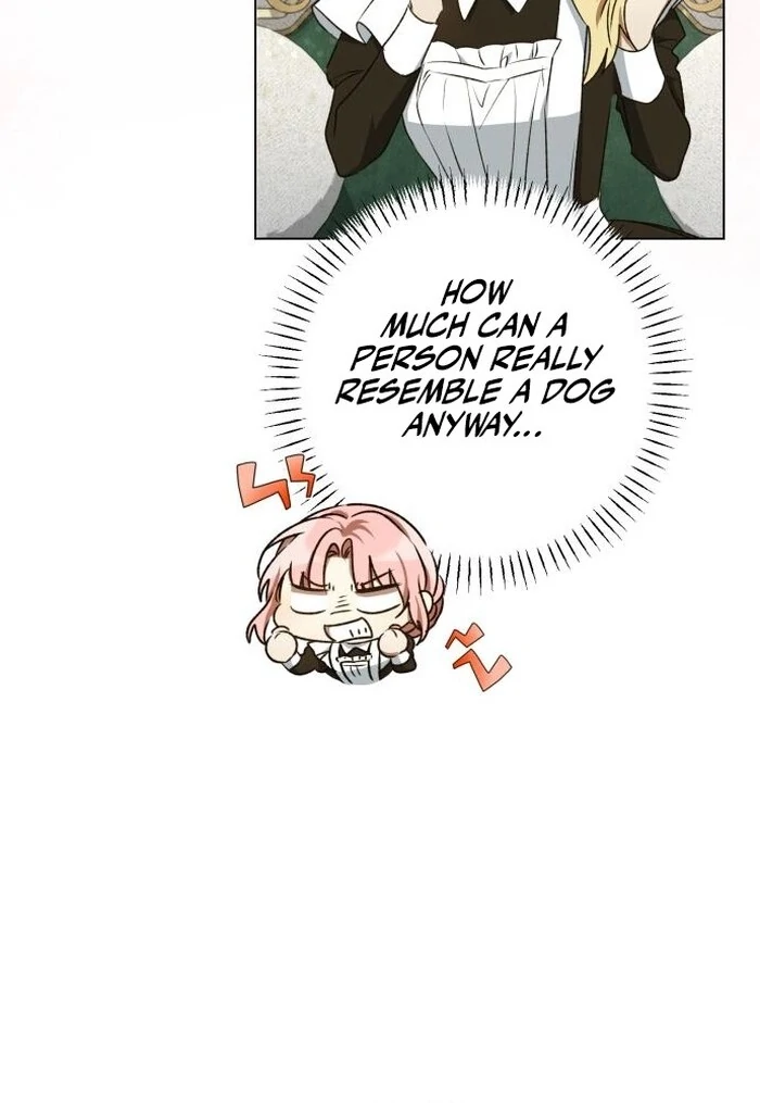 Image page 64