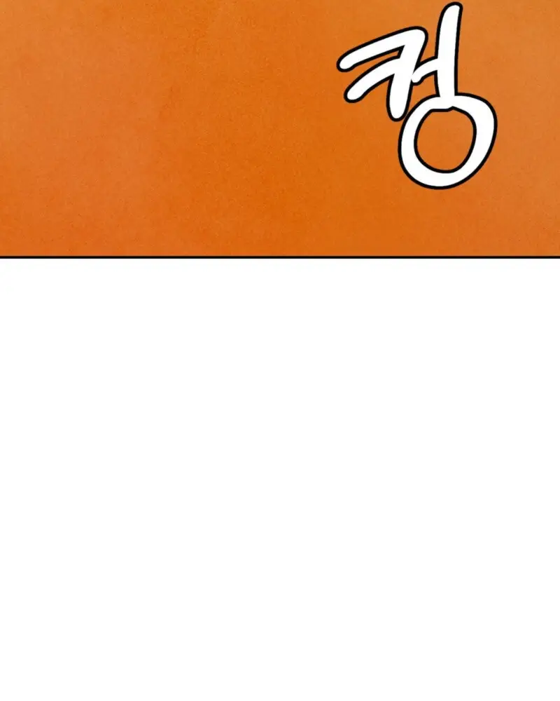 Image page 13
