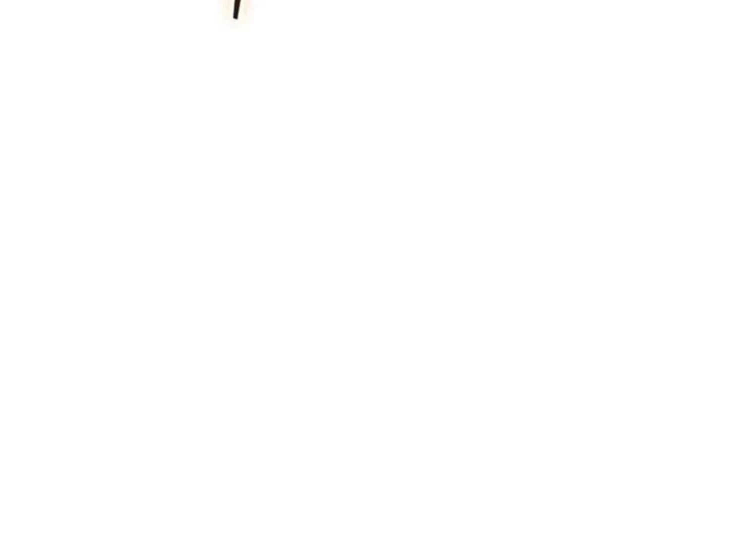 Image page 21