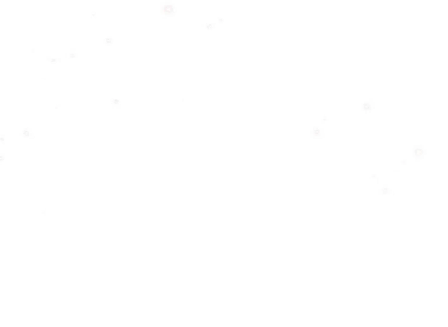 Image page 181
