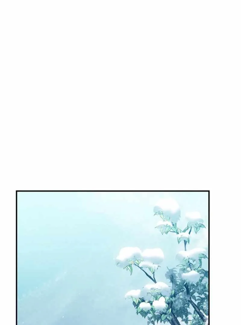 Image page 14