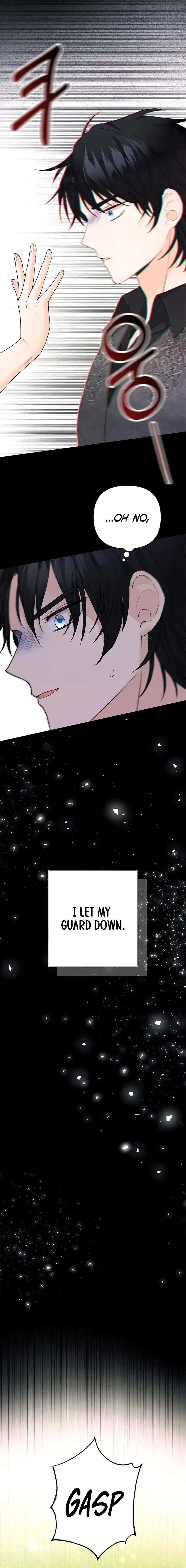 Image page 12