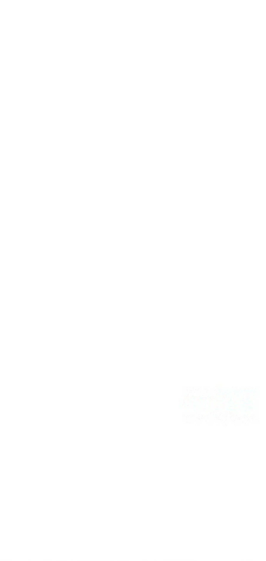 Image page 11