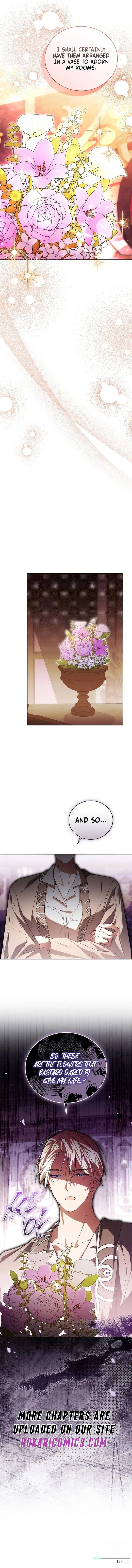 Image page 13
