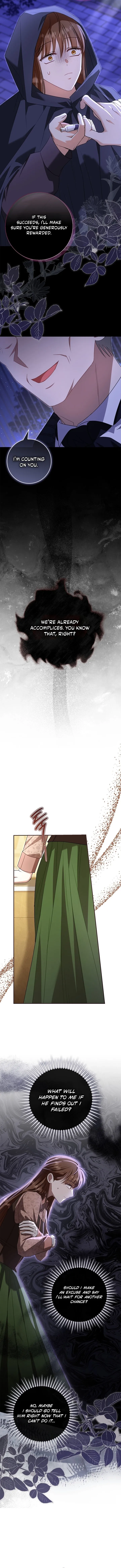 Image page 11