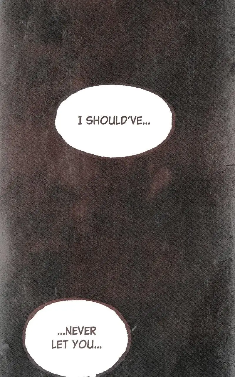 Image page 13