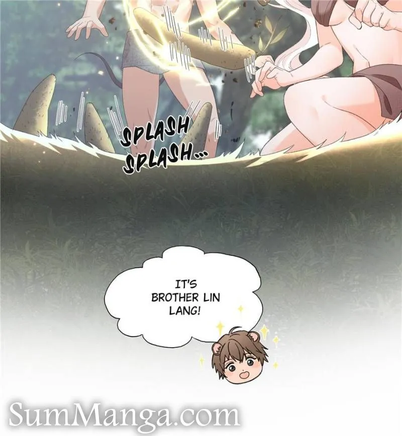 Image page 8