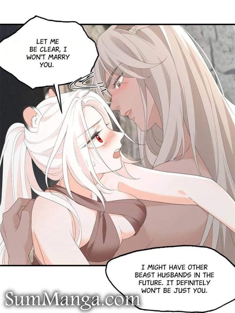 Image page 8
