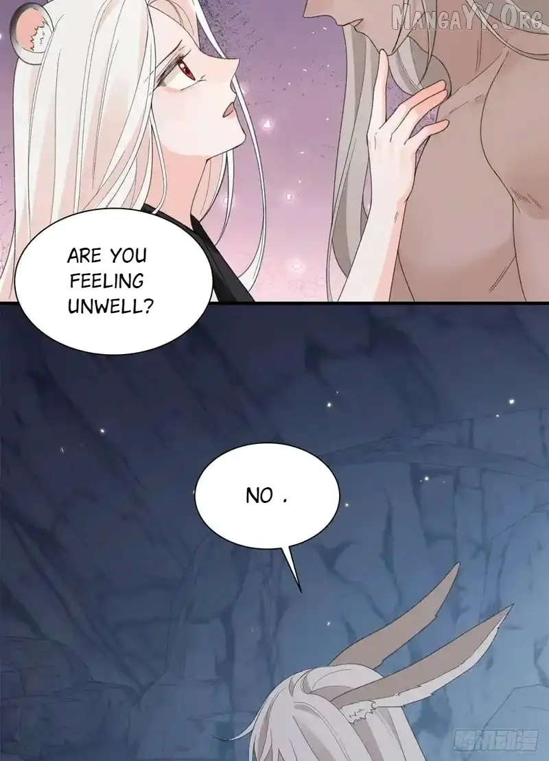 Image page 1