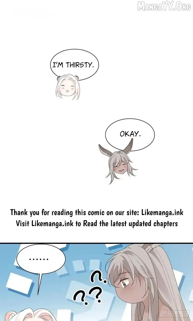 Image page 3
